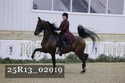 25R13_02919 thumbnail