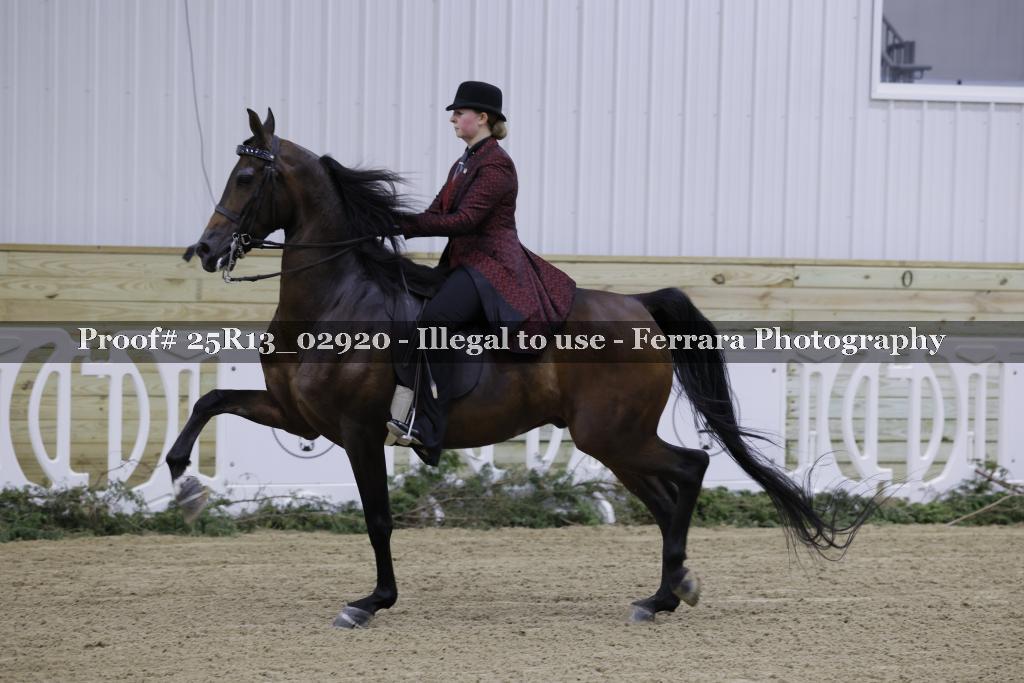 Proof Number 25R13_02920
