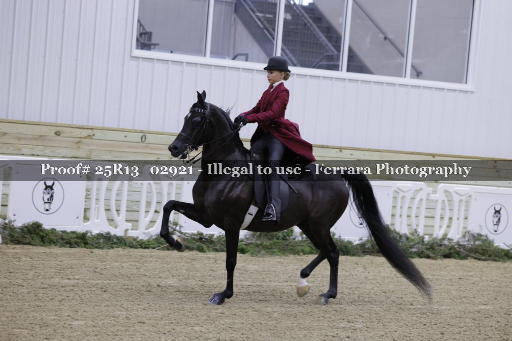 Proof Number 25R13_02921