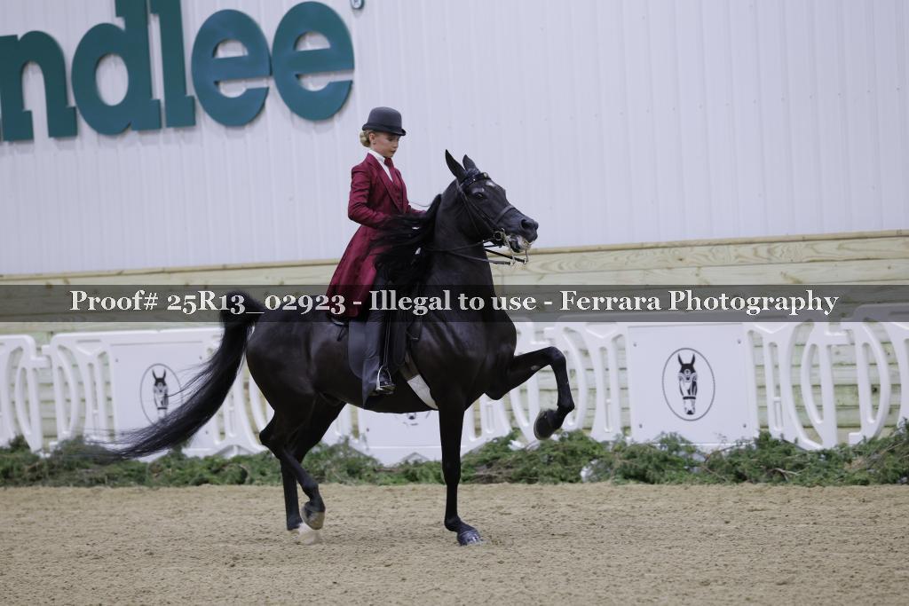 Proof Number 25R13_02923