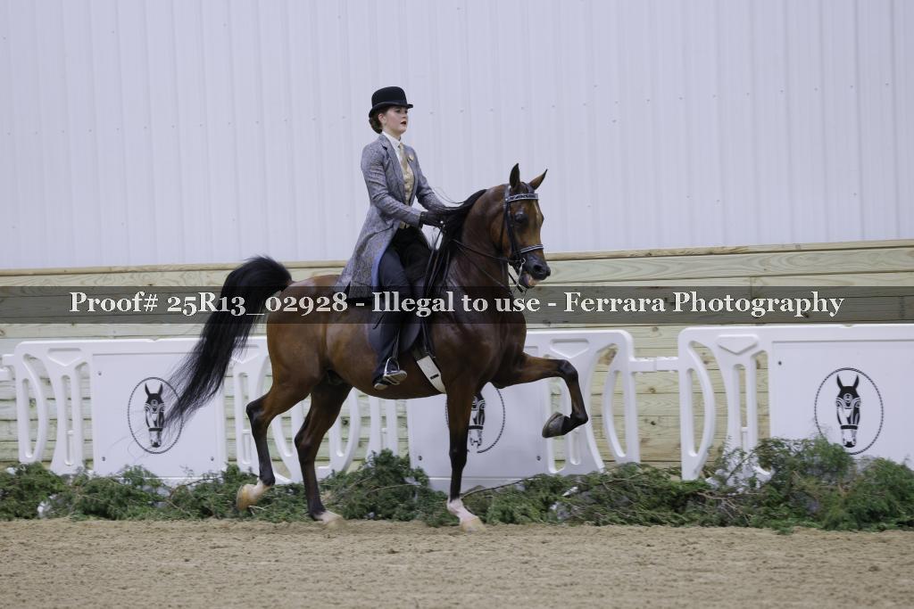 Proof Number 25R13_02928