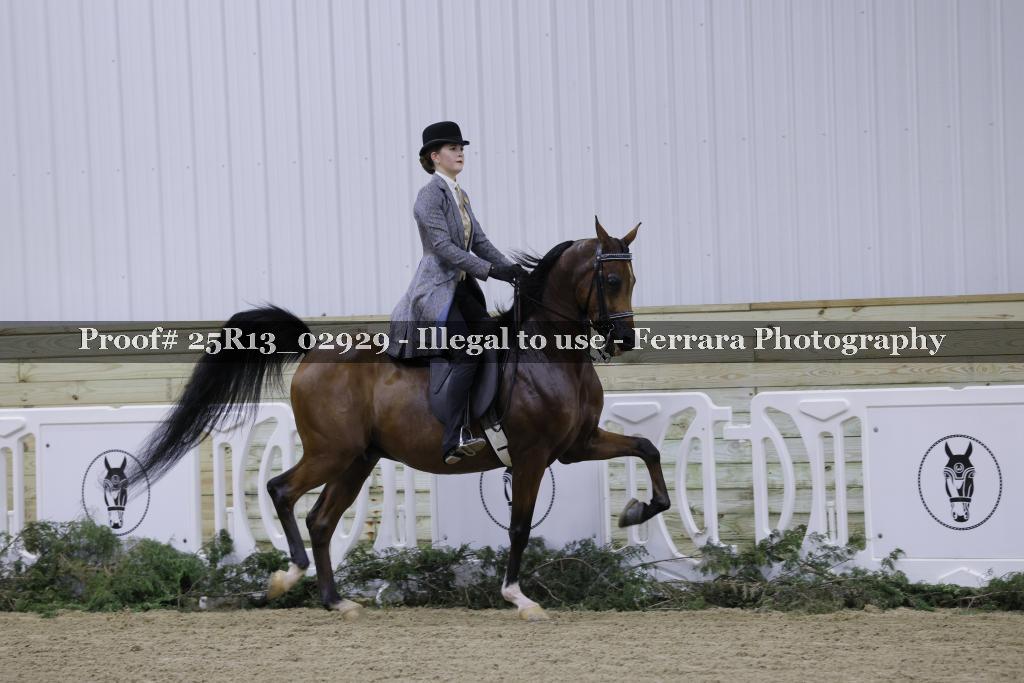 Proof Number 25R13_02929