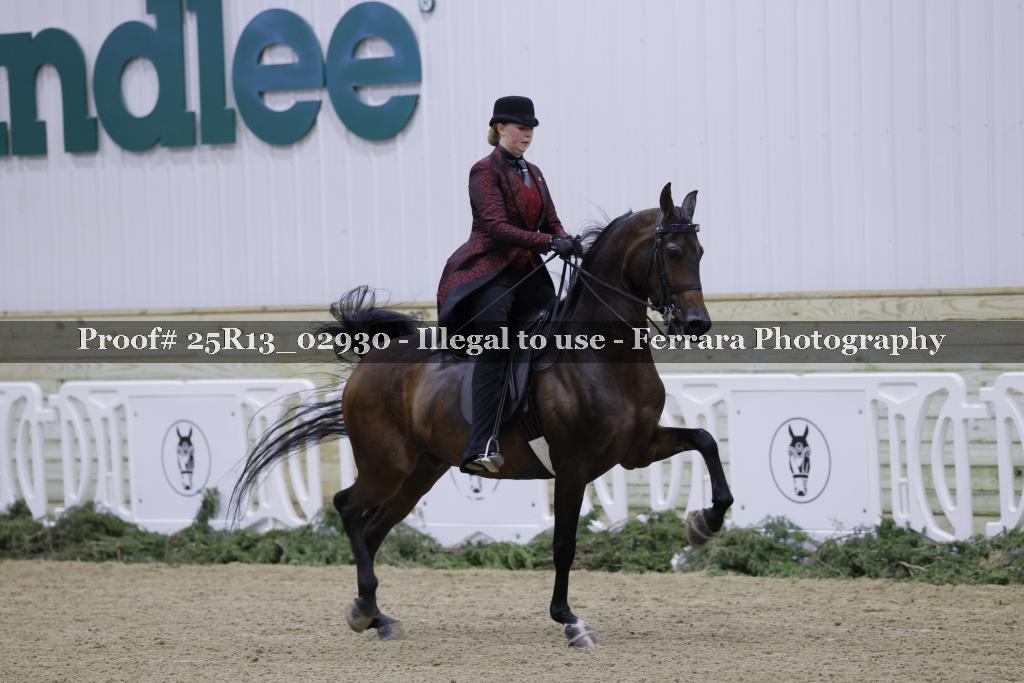 Proof Number 25R13_02930