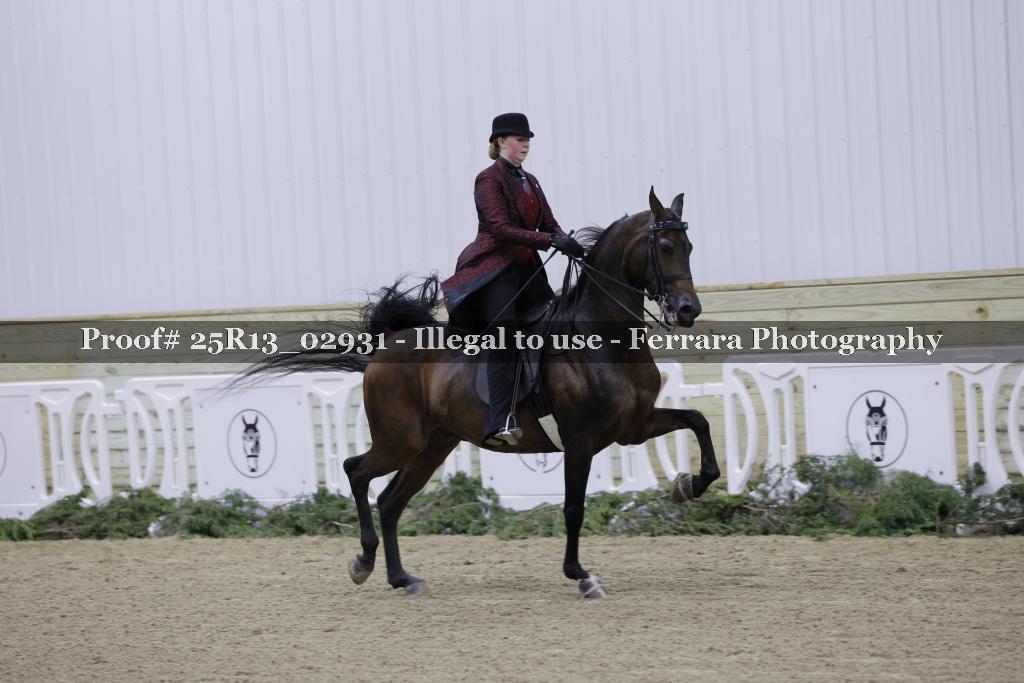 Proof Number 25R13_02931