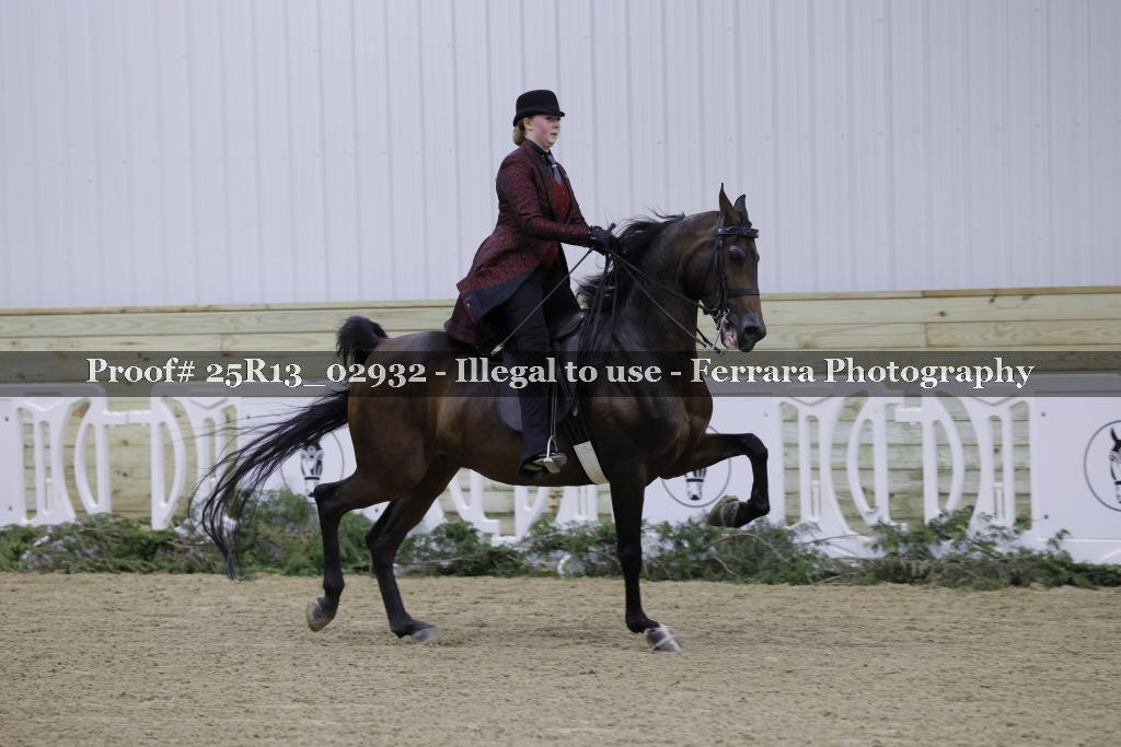 Proof Number 25R13_02932