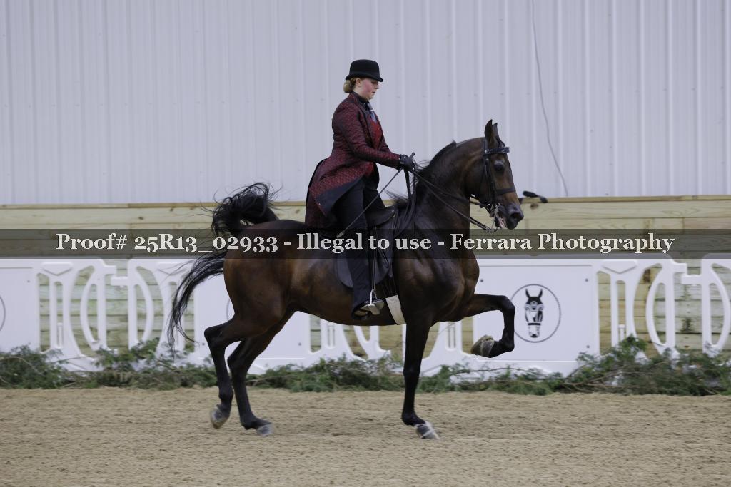 Proof Number 25R13_02933