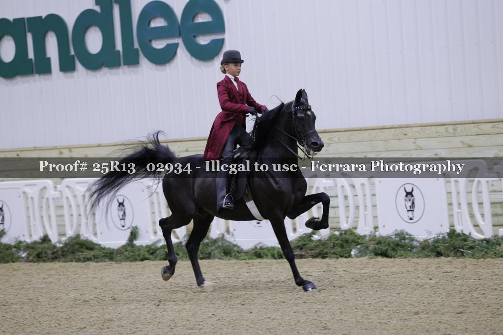 Proof Number 25R13_02934
