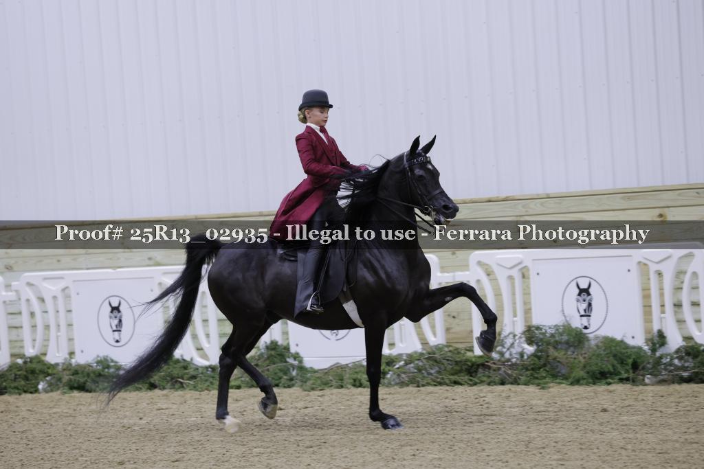 Proof Number 25R13_02935