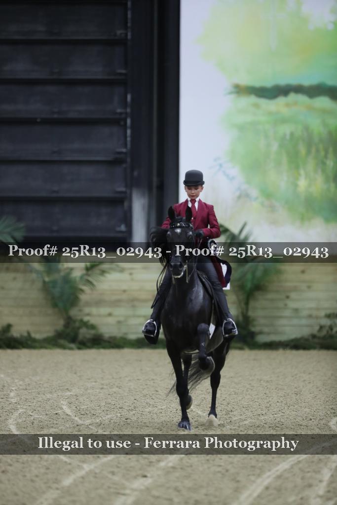 Proof Number 25R13_02943