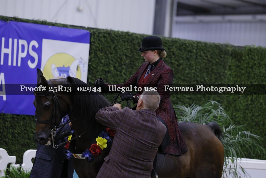 Proof Number 25R13_02944
