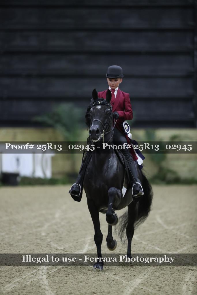 Proof Number 25R13_02945