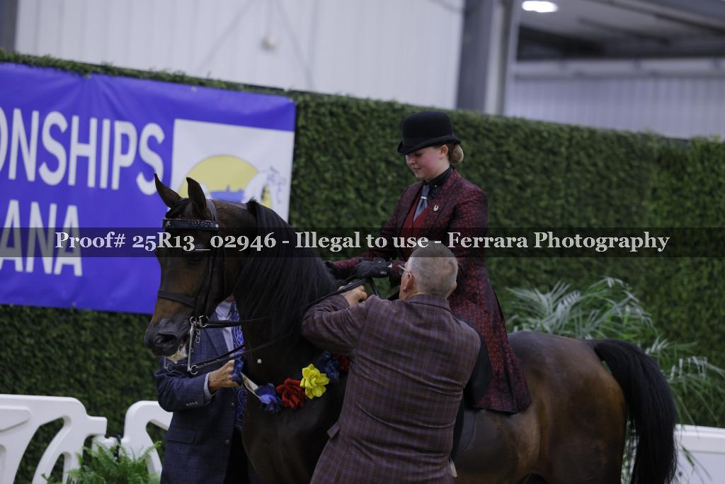 Proof Number 25R13_02946