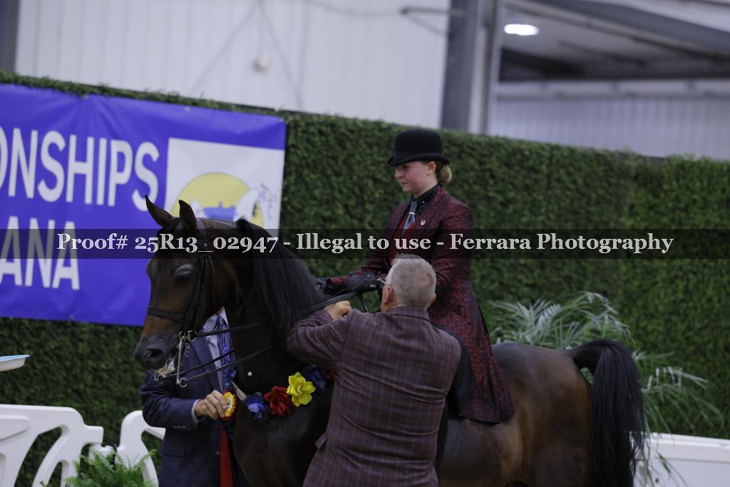 Proof Number 25R13_02947