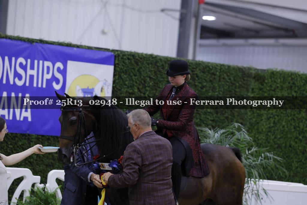 Proof Number 25R13_02948