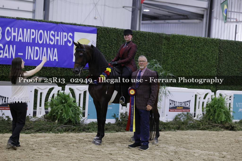 Proof Number 25R13_02949