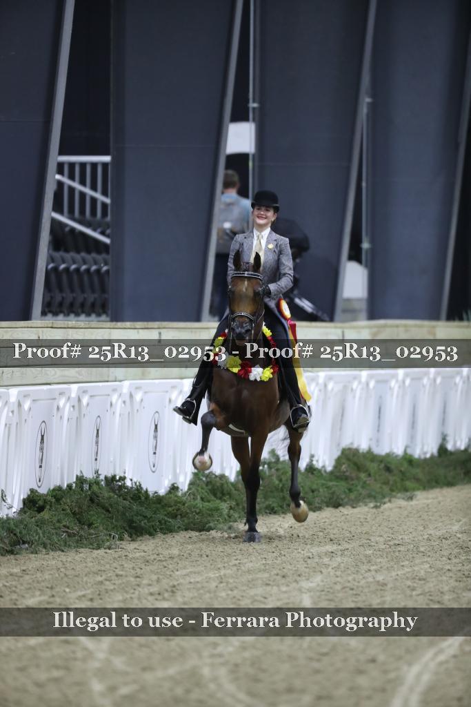 Proof Number 25R13_02953