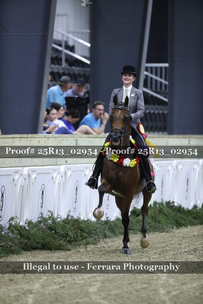 Proof Number 25R13_02954