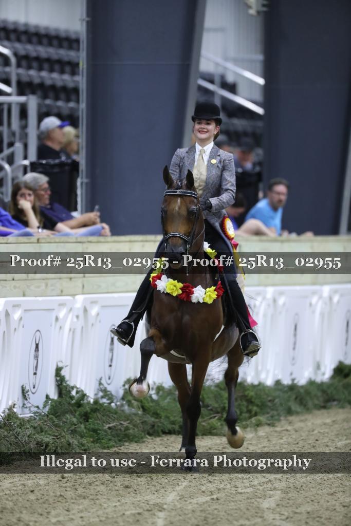 Proof Number 25R13_02955