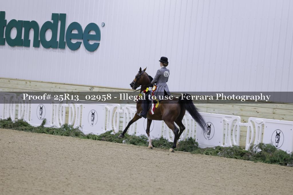 Proof Number 25R13_02958