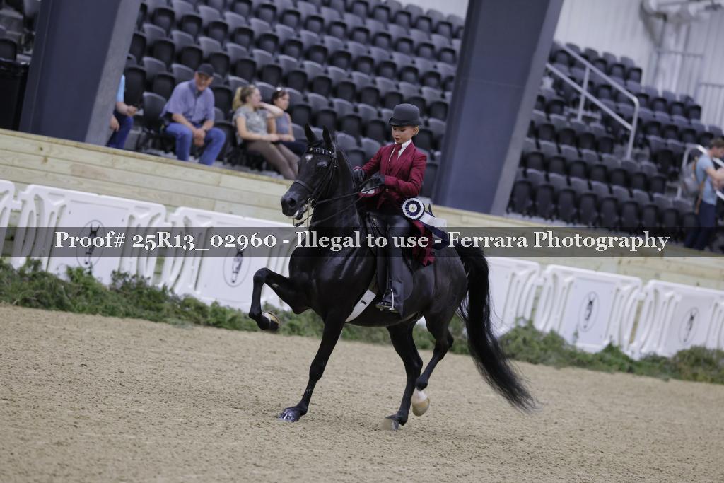 Proof Number 25R13_02960