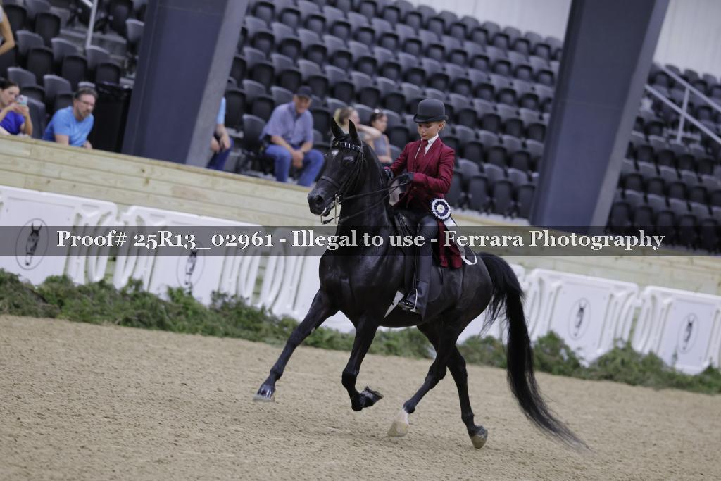 Proof Number 25R13_02961