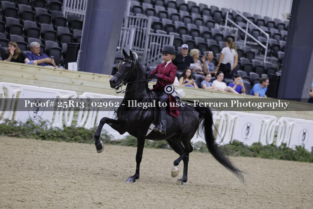 Proof Number 25R13_02962