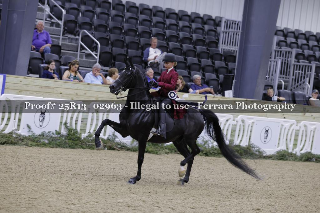 Proof Number 25R13_02963