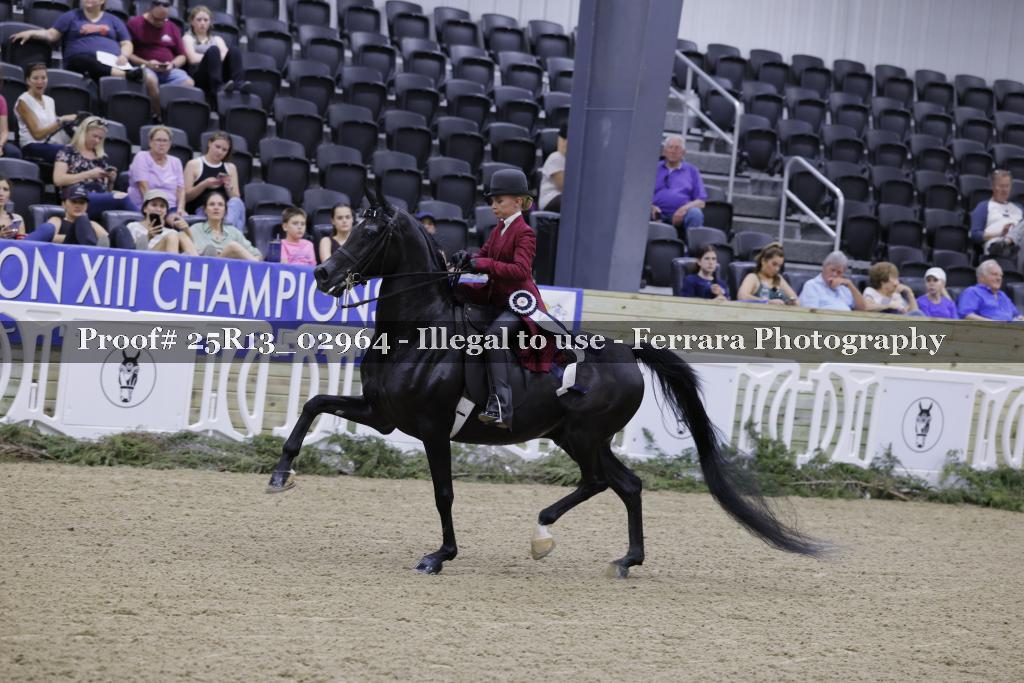 Proof Number 25R13_02964