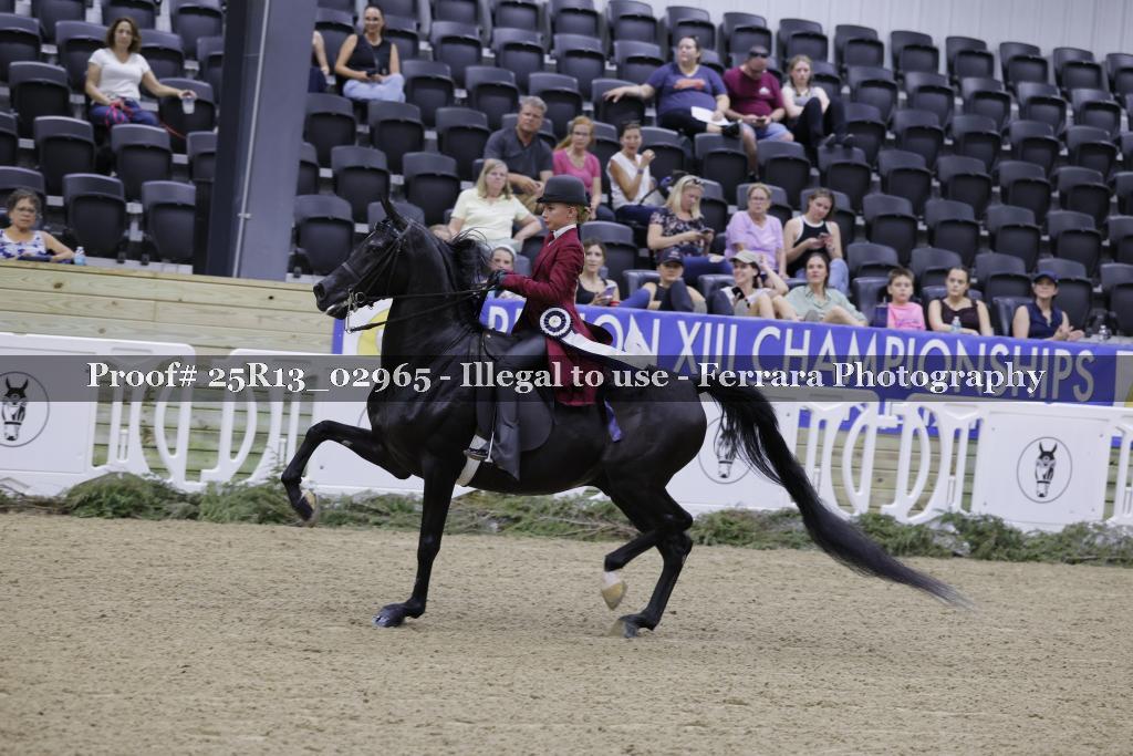 Proof Number 25R13_02965