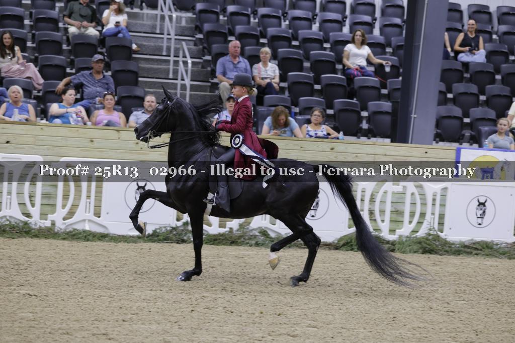 Proof Number 25R13_02966