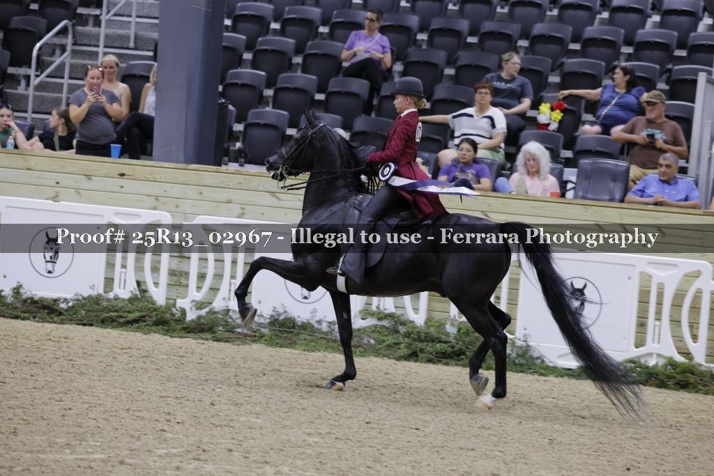 Proof Number 25R13_02967