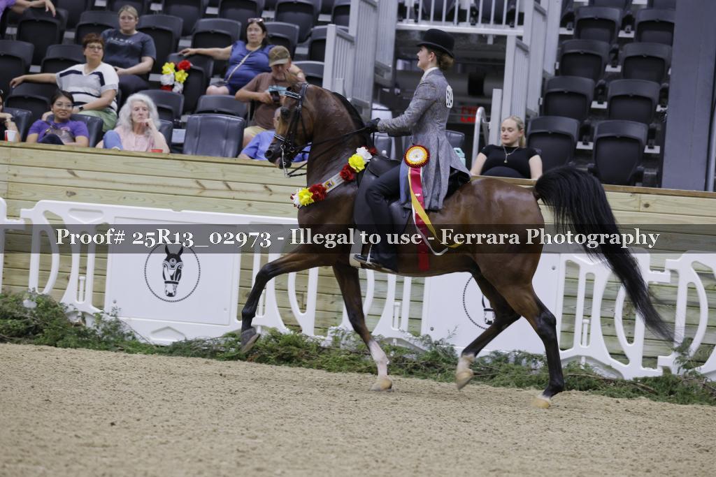 Proof Number 25R13_02973