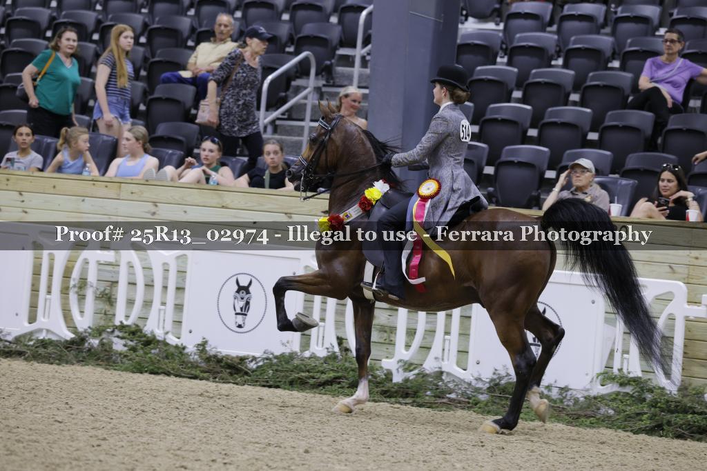 Proof Number 25R13_02974