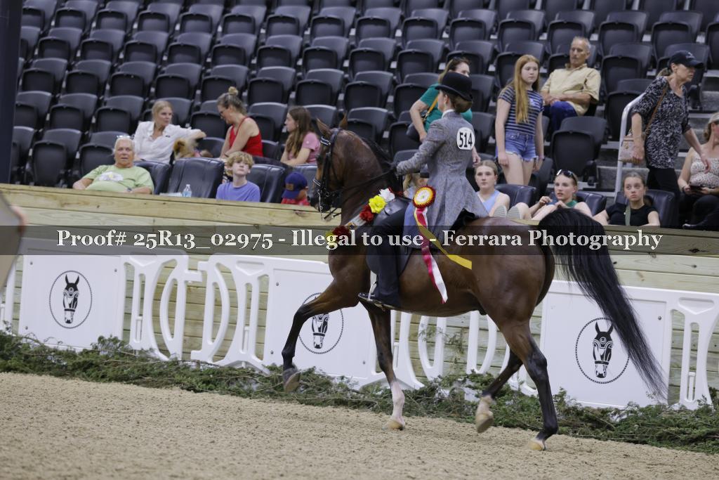 Proof Number 25R13_02975