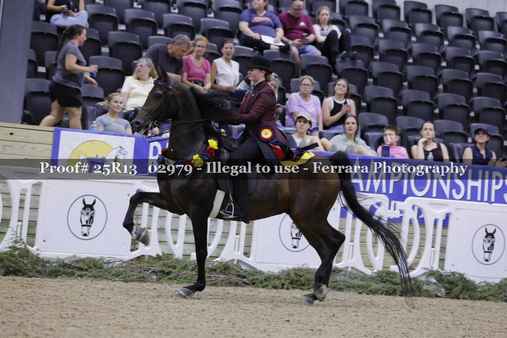 Proof Number 25R13_02979