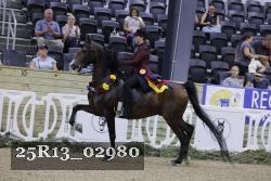 25R13_02980 thumbnail
