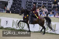 25R13_02981 thumbnail