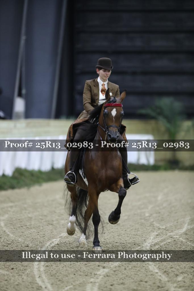 Proof Number 25R13_02983