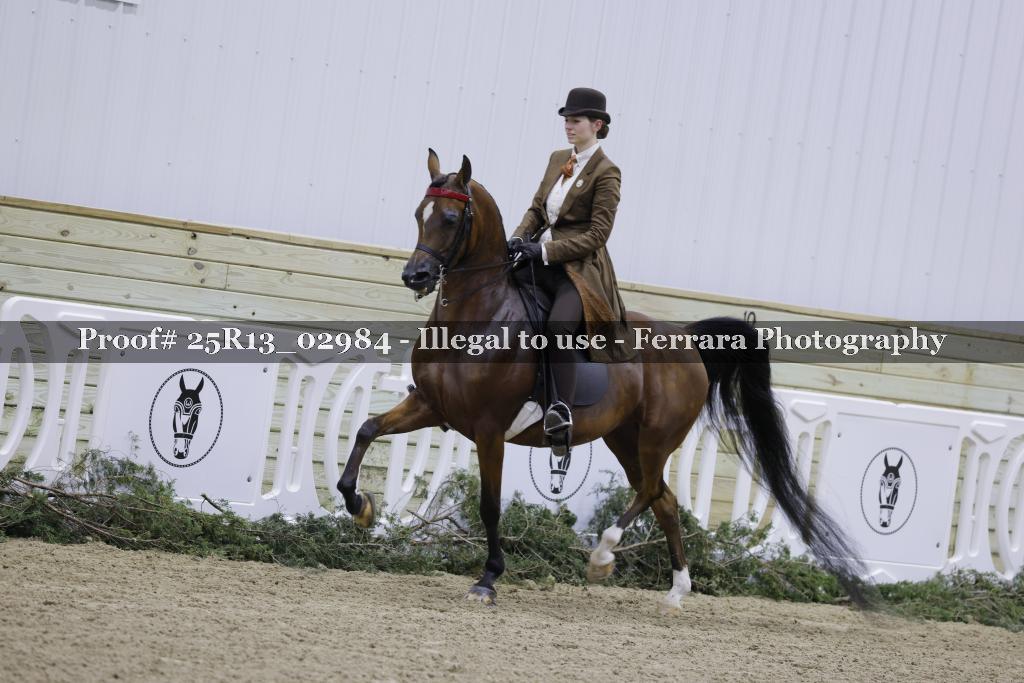 Proof Number 25R13_02984