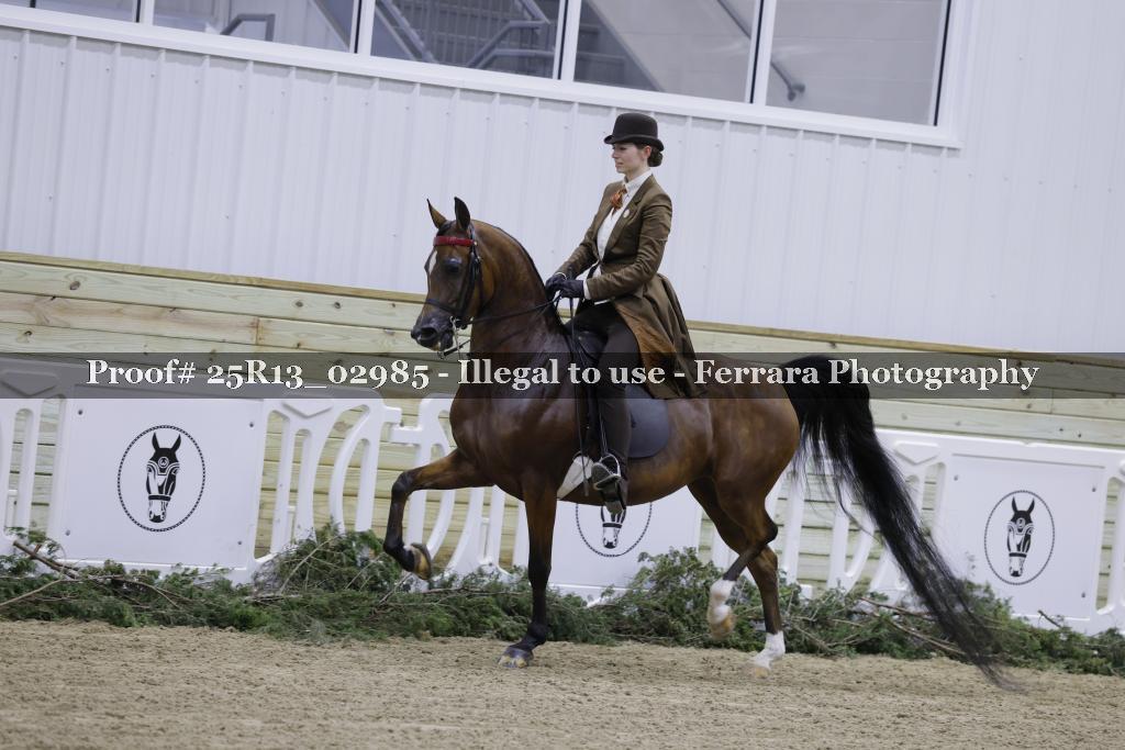 Proof Number 25R13_02985