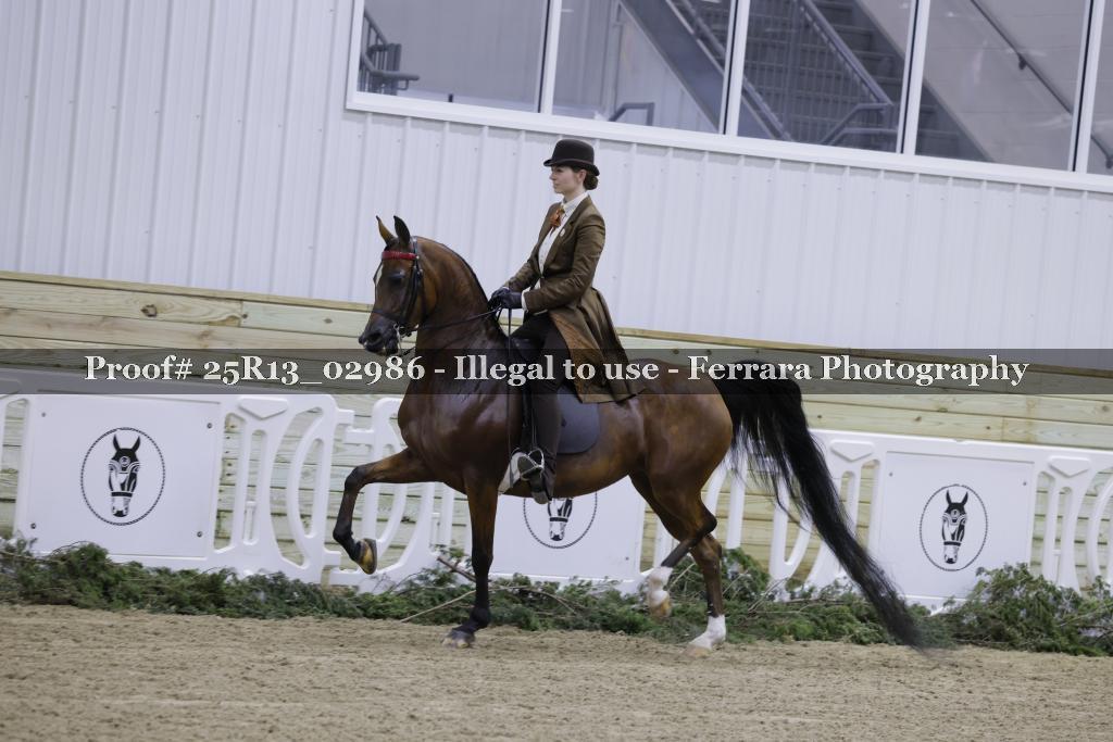Proof Number 25R13_02986