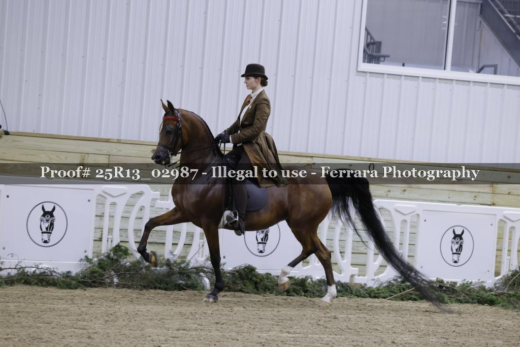 Proof Number 25R13_02987