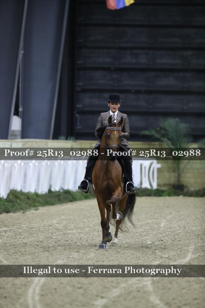 Proof Number 25R13_02988