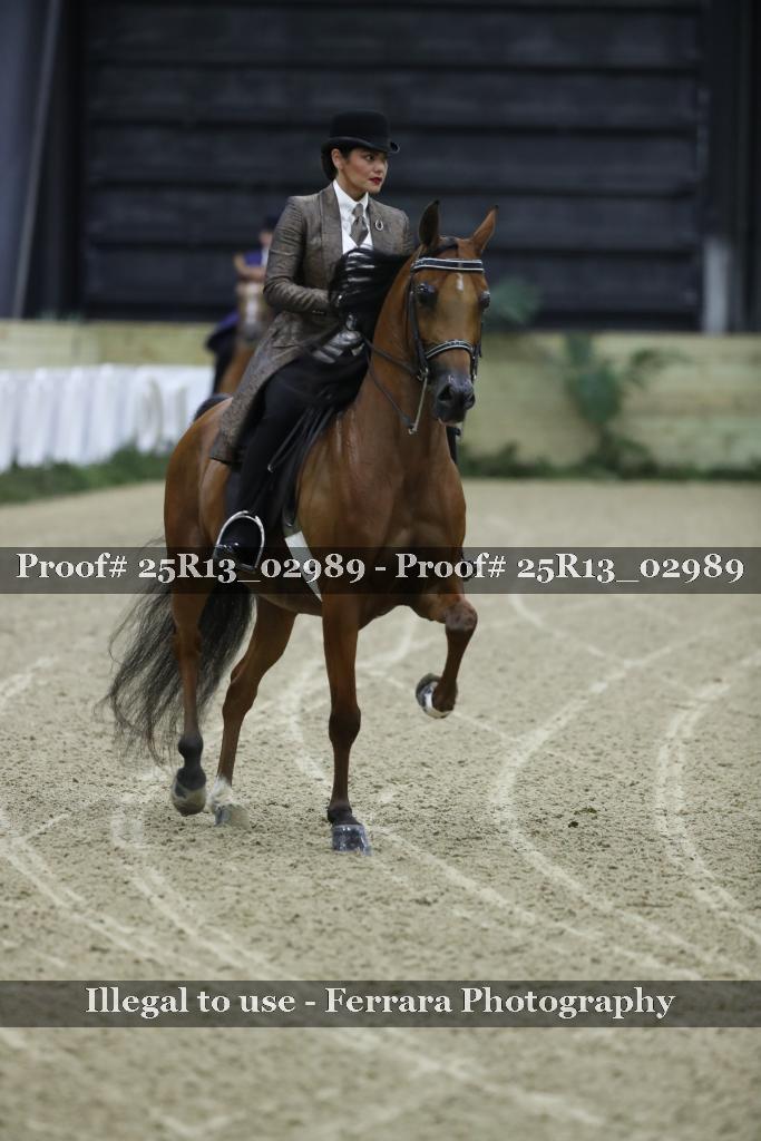 Proof Number 25R13_02989
