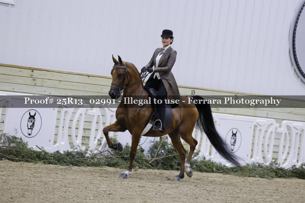 Proof Number 25R13_02991