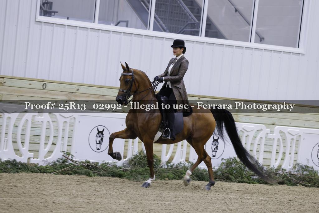 Proof Number 25R13_02992