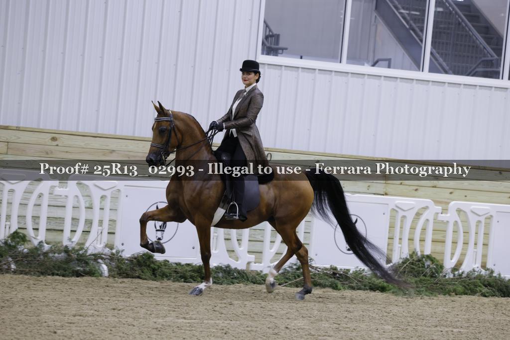 Proof Number 25R13_02993