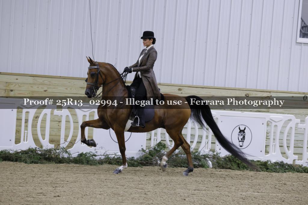 Proof Number 25R13_02994