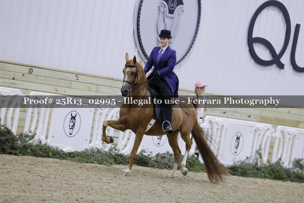 Proof Number 25R13_02995
