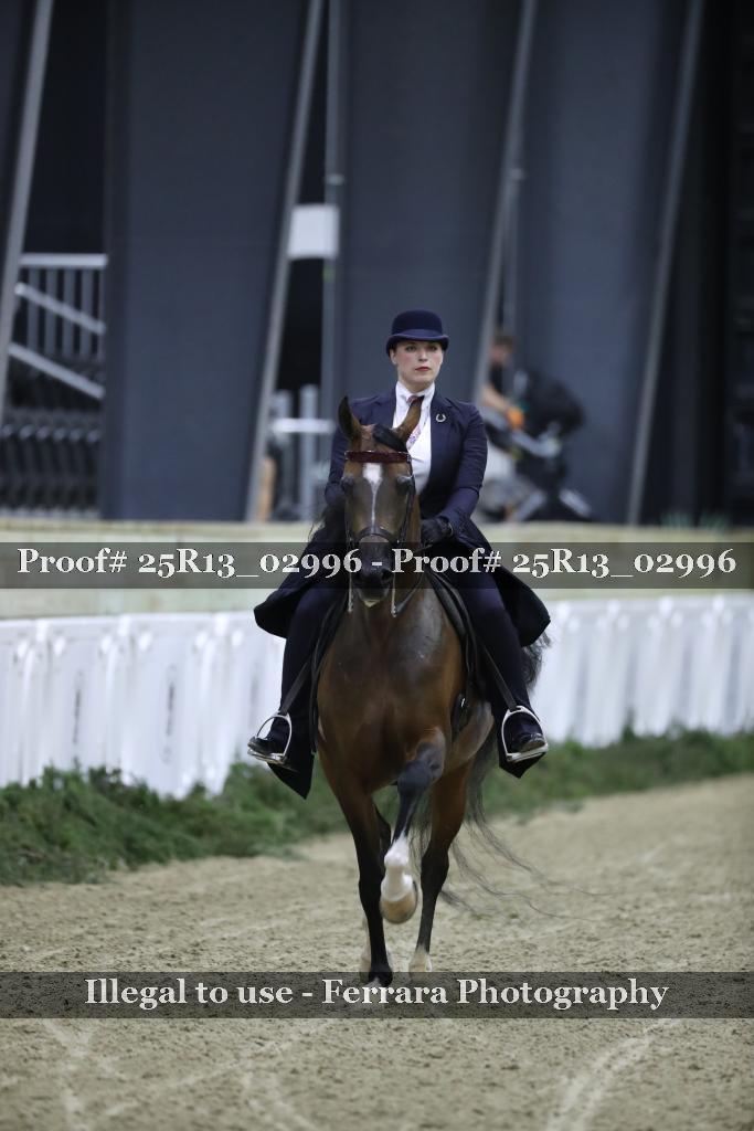 Proof Number 25R13_02996